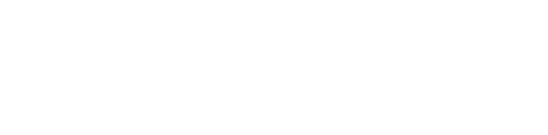 Abideen College