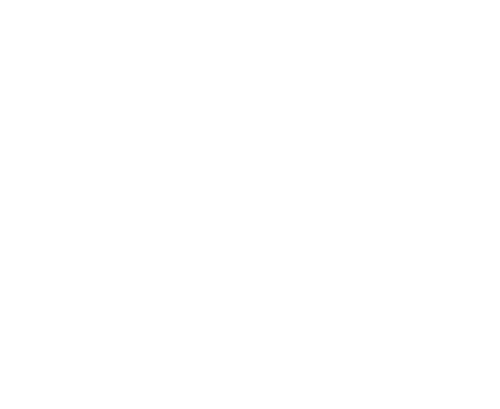 Abideen College
